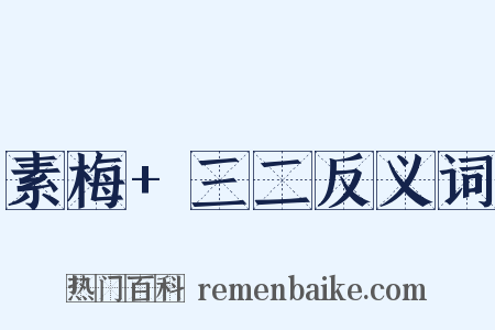 素梅+三二反义词是什么意思的图片